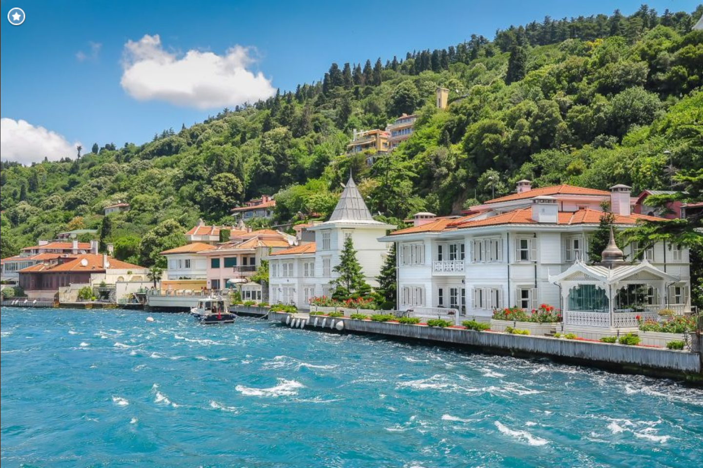 Excursión a las islas Príncipe - Imagen 3
