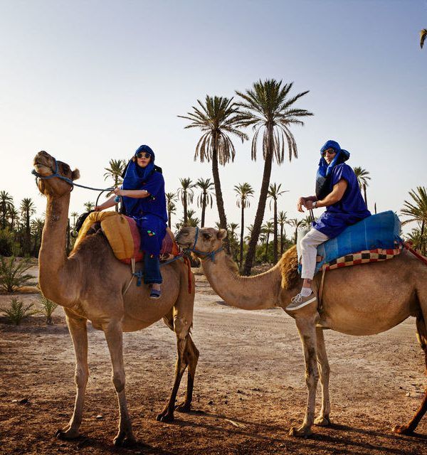 paseo_camello_marrakech_palmeral