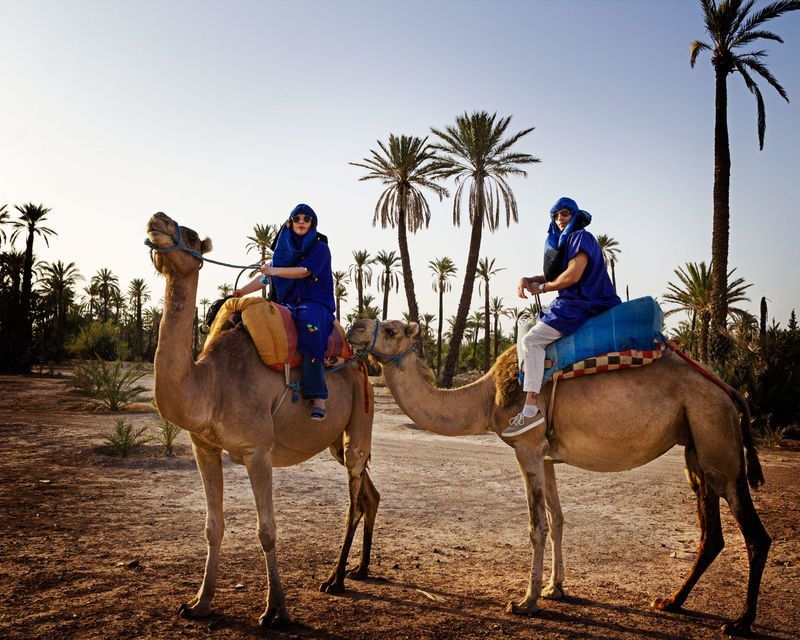 paseo_camello_marrakech_palmeral
