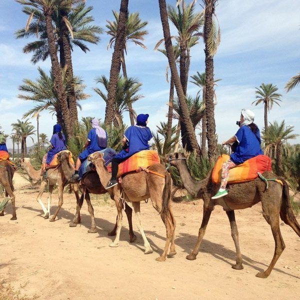 paseo_camello_marrakech_palmeral_maventur_5