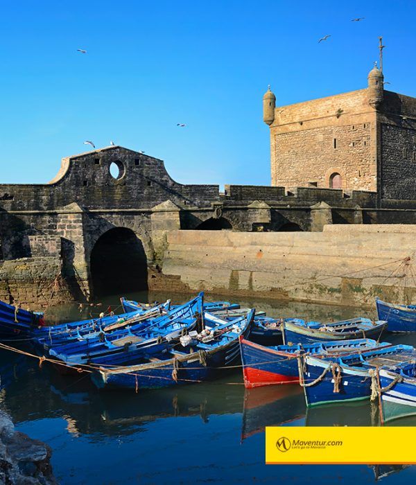 Maventur_essaouira