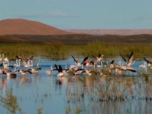 Lac-dayet-drij-maventur-tour-travel-trip-merzouga-hassilabied