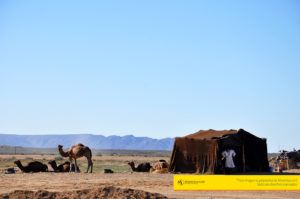 zoco-especias-marrakech-tour-maventur