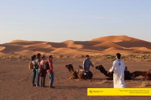 Maventur paseo en camellos merzouga sahara