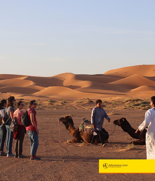 Maventur paseo en camellos merzouga sahara