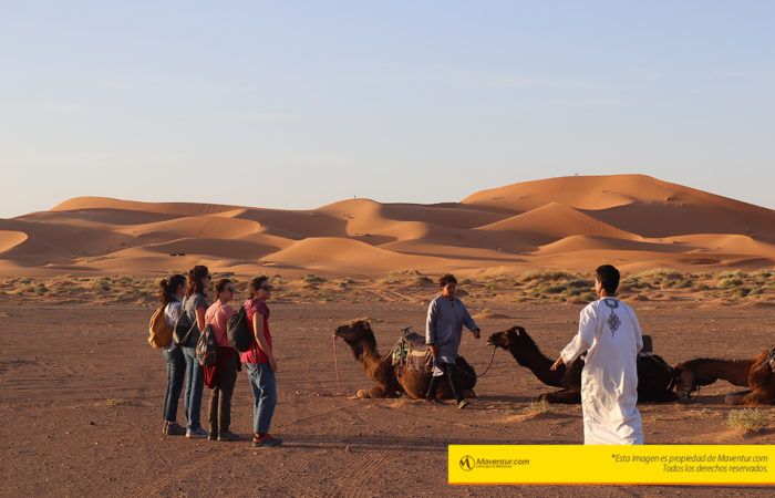 Maventur paseo en camellos merzouga sahara