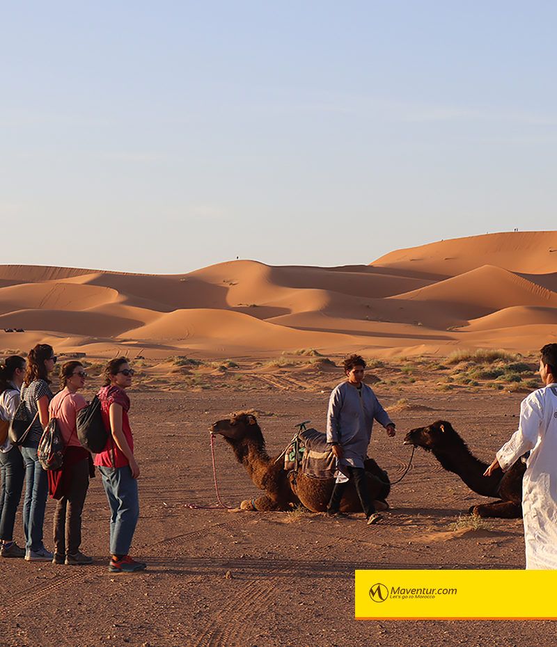 Maventur paseo en camellos merzouga sahara