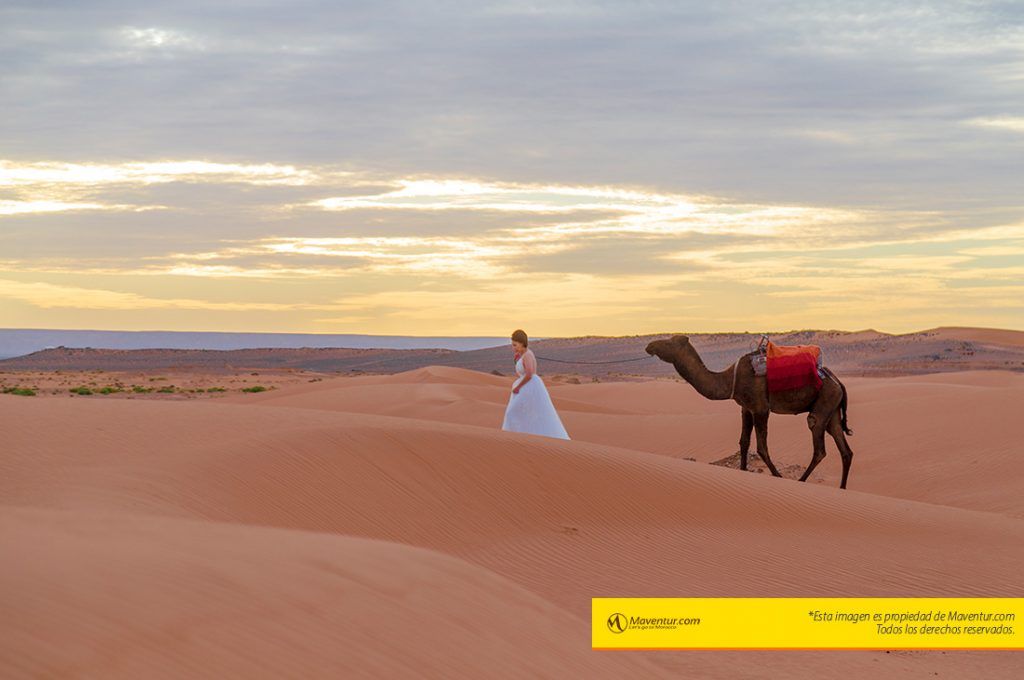 Maventur_reportaje_fotografico_merzouga_camello_dunas