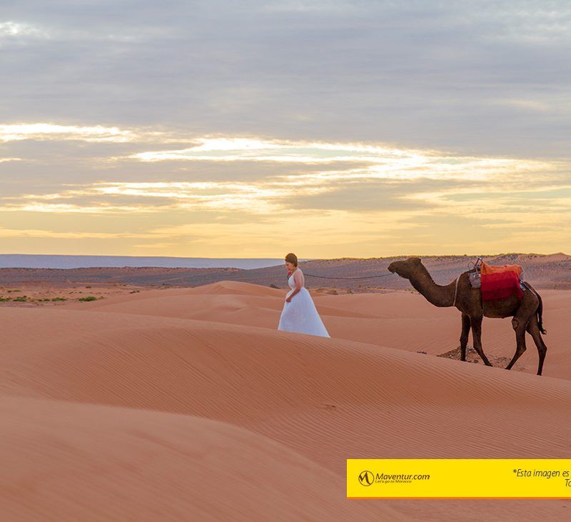 Maventur_reportaje_fotografico_merzouga_camello_dunas