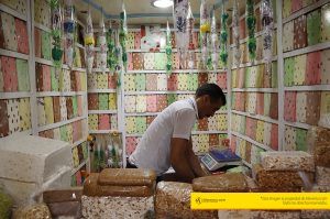 tienda-dulces-tour-zoco-maventur