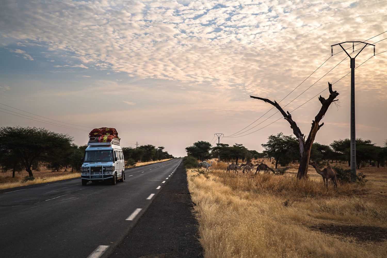 maventur travel senegal tour