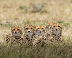 Africa Maventur Travel viajes circuitos ofertas