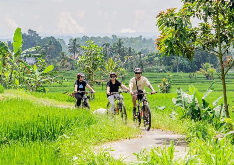 Tours Guiados en Bicicleta en Ubud Bali Maventur Travel
