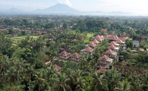 Sakti Garden – Deluxe Garden