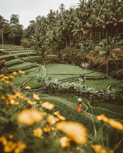 Viaje Indonesia Relax Bali Ubud Isla Gili Maventur Travel (1)