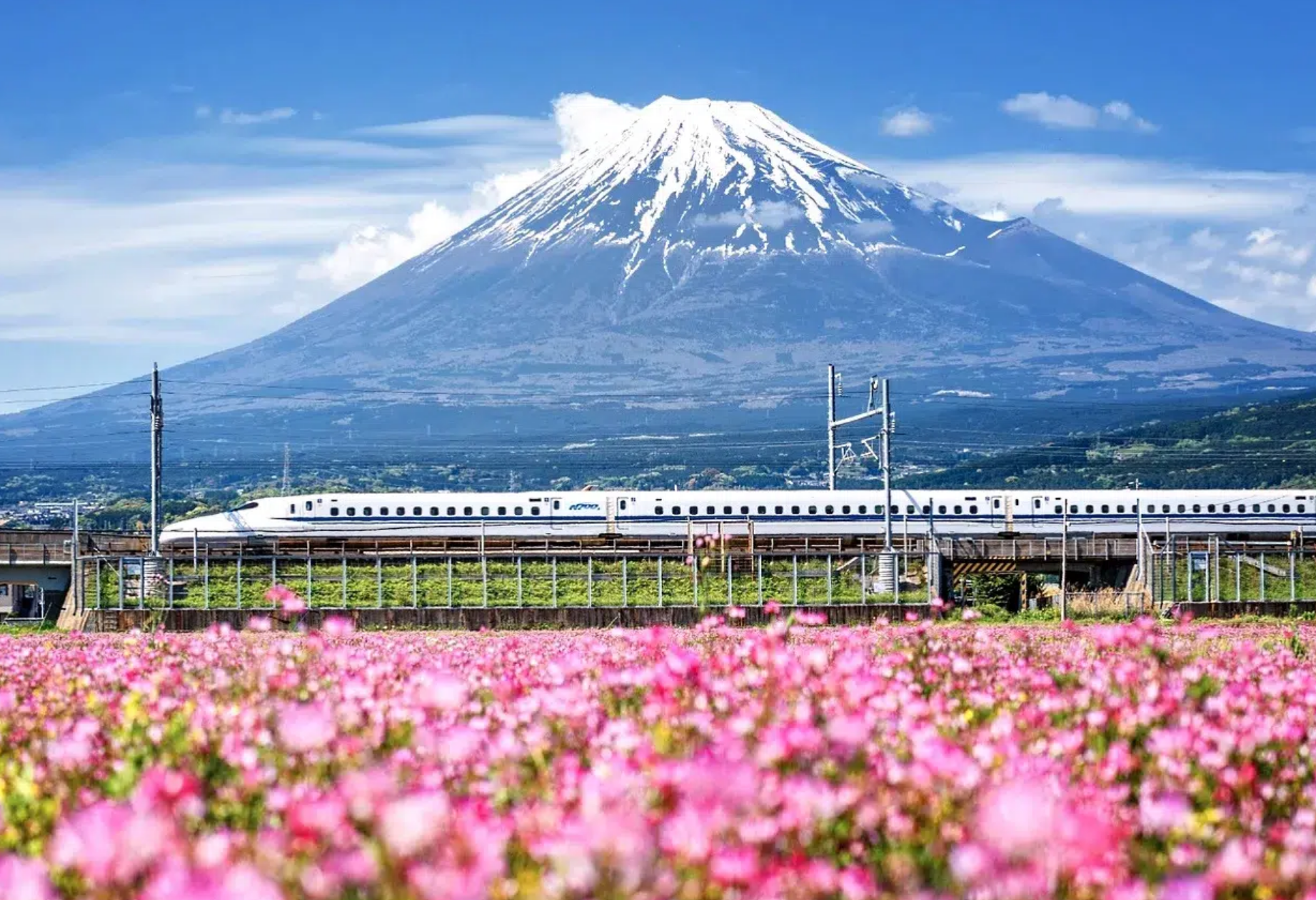 Tren Bala Japón
