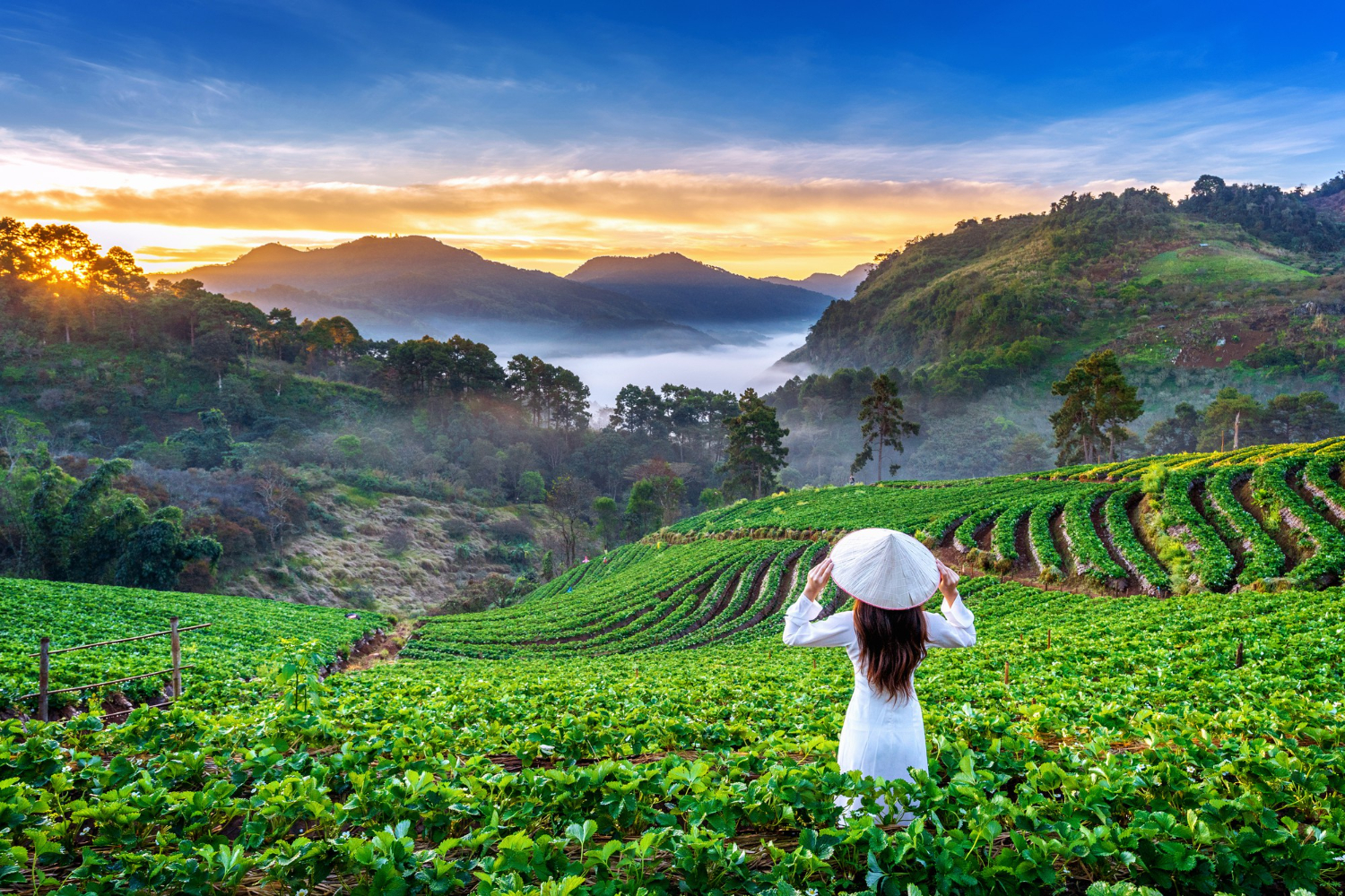 Kerala