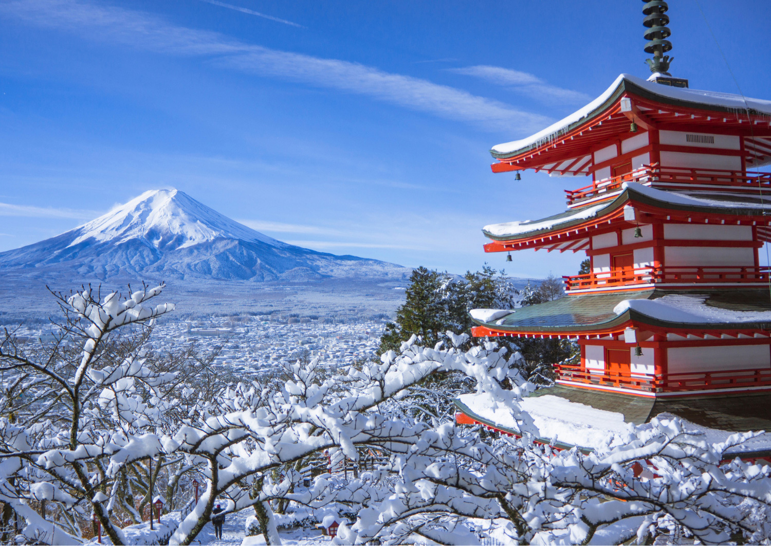 Monte Fuji Maventur