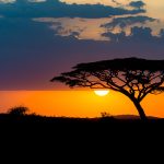 Sudafrica Sudafrica