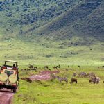 Tanzania Tanzania